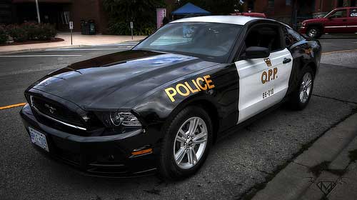 Muscle Bound Cops